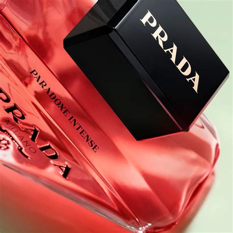 prada paradox probe|paradoxe intense Prada.